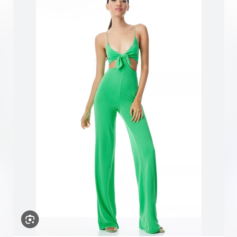 New Alice and Olivia Havana jumpsuit - Picture 3 of 16